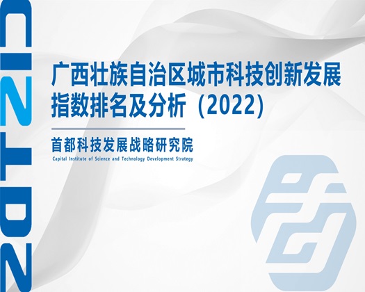 鸡鸡操逼逼免费网站上【成果发布】广西壮族自治区城市科技创新发展指数排名及分析（2022）